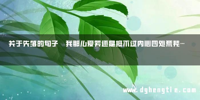 关于失落的句子 我那么爱笑还是抵不过内心四处荒芜…